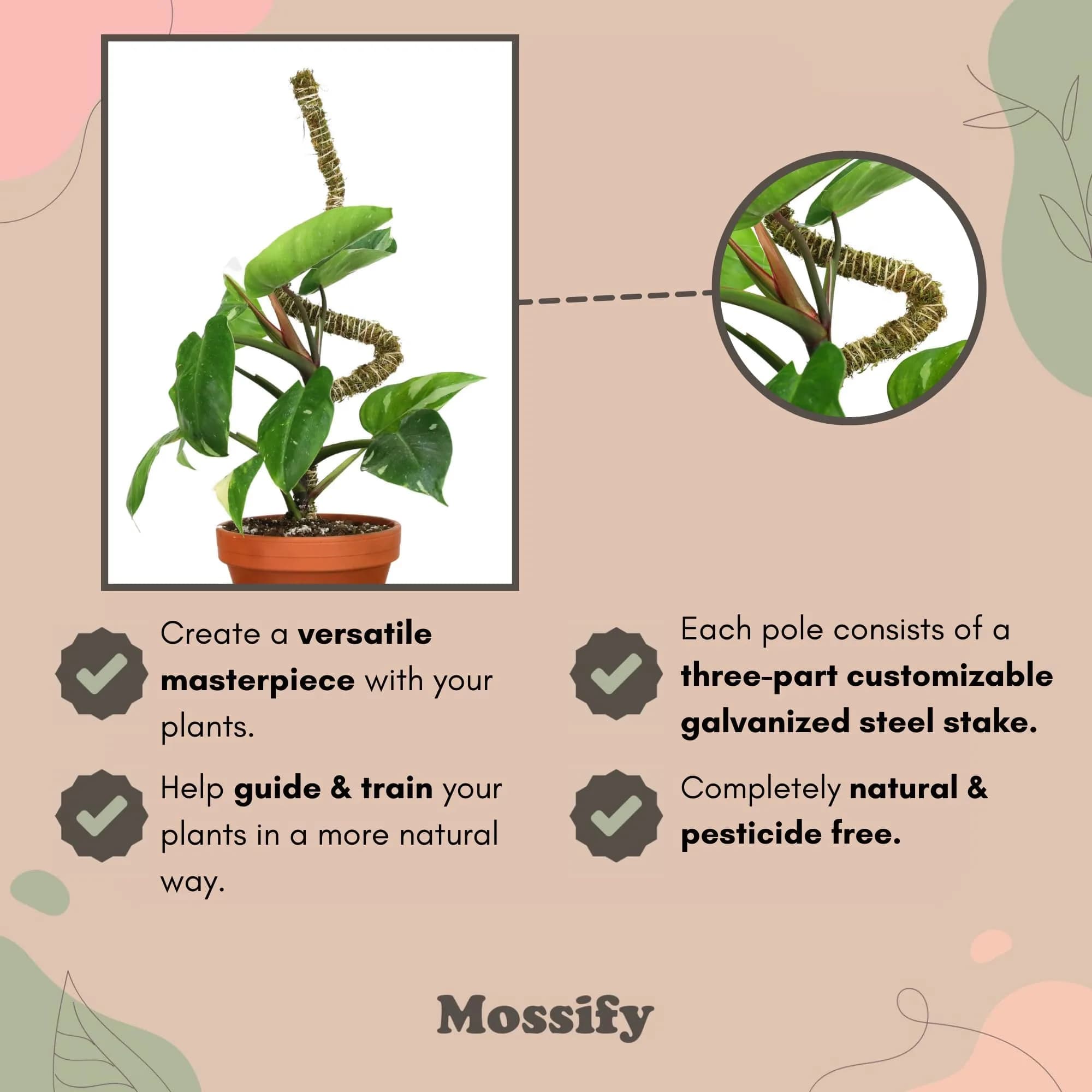 Mossify Bendable Moss Pole 3 Pack Assorted 16/30/42'' | Original Patented Design for Climbing Plants thumbnail 5