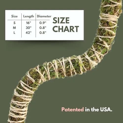 Mossify Bendable Moss Pole 30'' (76.2 cm) - 3 Pack, Natural Forest Moss | Flexible Climbing Plant Support for Monstera, Pothos, Philodendron thumbnail 7