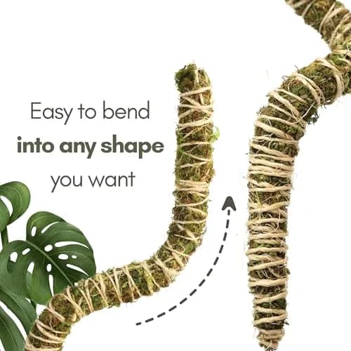 Mossify Bendable Moss Pole 30'' (76.2 cm) - 3 Pack, Natural Forest Moss | Flexible Climbing Plant Support for Monstera, Pothos, Philodendron thumbnail 2