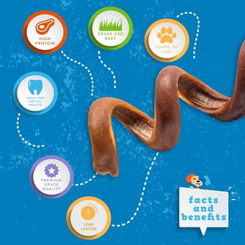 Jack&Pup Bully Springs for Dogs | 7" Spiral Bully Sticks | Long Lasting, Odor Free, Stimulating Dog Chews thumbnail 3