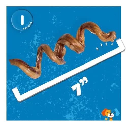Jack&Pup Bully Springs for Dogs | 7" Spiral Bully Sticks | Long Lasting, Odor Free, Stimulating Dog Chews thumbnail 4