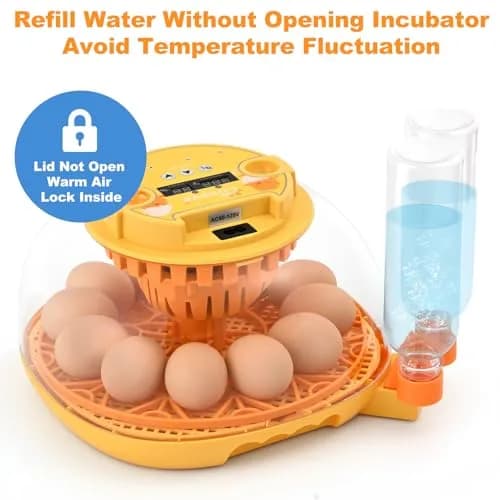 Cliseve Automatic Egg Incubator with Turner & Temp/Humidity Display (12-Egg Capacity) thumbnail 6