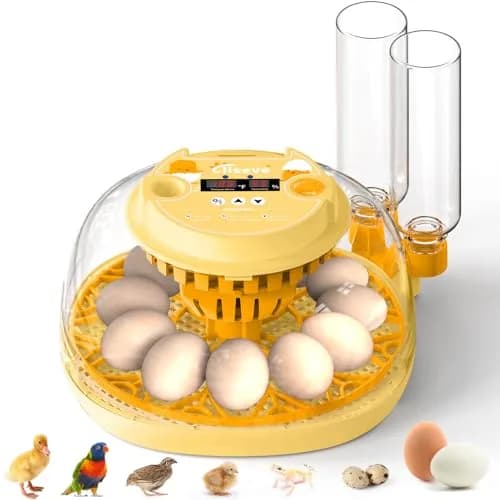 Cliseve Automatic Egg Incubator with Turner & Temp/Humidity Display (12-Egg Capacity) thumbnail 1