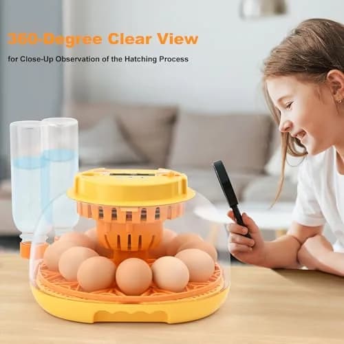 Cliseve Automatic Egg Incubator with Turner & Temp/Humidity Display (12-Egg Capacity) thumbnail 7