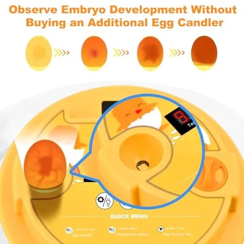 Cliseve Automatic Egg Incubator with Turner & Temp/Humidity Display (12-Egg Capacity) thumbnail 3