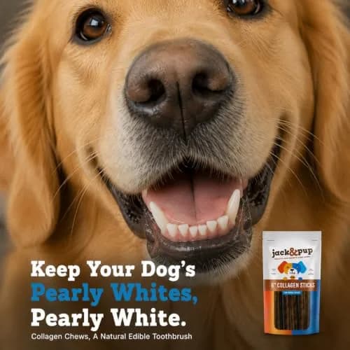 Jack&Pup Collagen Sticks for Dogs 4 Pack | Rawhide-Free, Long Lasting 6 inch Chews thumbnail 5