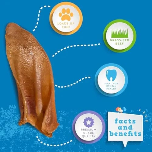 Jack&Pup Natural Half Pig Ears for Dogs 5 Pack | Premium, Fully Digestible, Odor-Free Dog Chew Treats (7 Inches) thumbnail 2