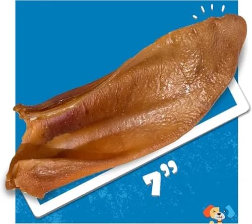 Jack&Pup Natural Half Pig Ears for Dogs 5 Pack | Premium, Fully Digestible, Odor-Free Dog Chew Treats (7 Inches) thumbnail 3