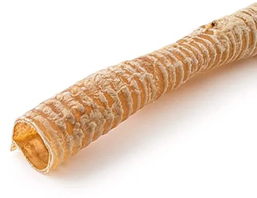 Jack&Pup Beef Trachea Dog Chews 12 Inch | Natural, Durable & Joint Support (70-120 chars) thumbnail 6