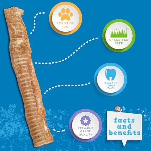 Jack&Pup Beef Trachea Dog Chews 12 Inch | Natural, Durable & Joint Support (70-120 chars) thumbnail 2
