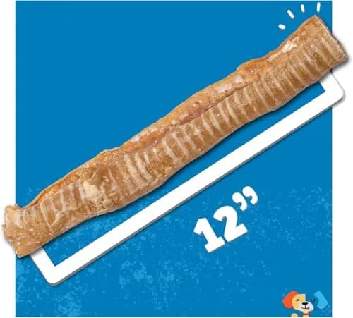 Jack&Pup Beef Trachea Dog Chews 12 Inch | Natural, Durable & Joint Support (70-120 chars) thumbnail 3