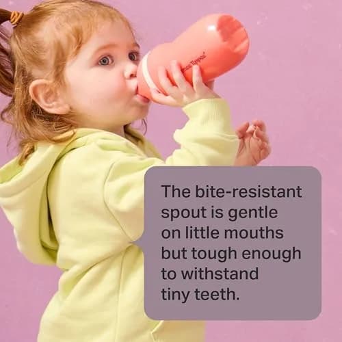 Tommee Tippee Sporty Spout Toddler Sippy Cup 255ml (9 fl oz) 2-Pack | Insulated, Spill-Proof, Bite-Resistant thumbnail 4