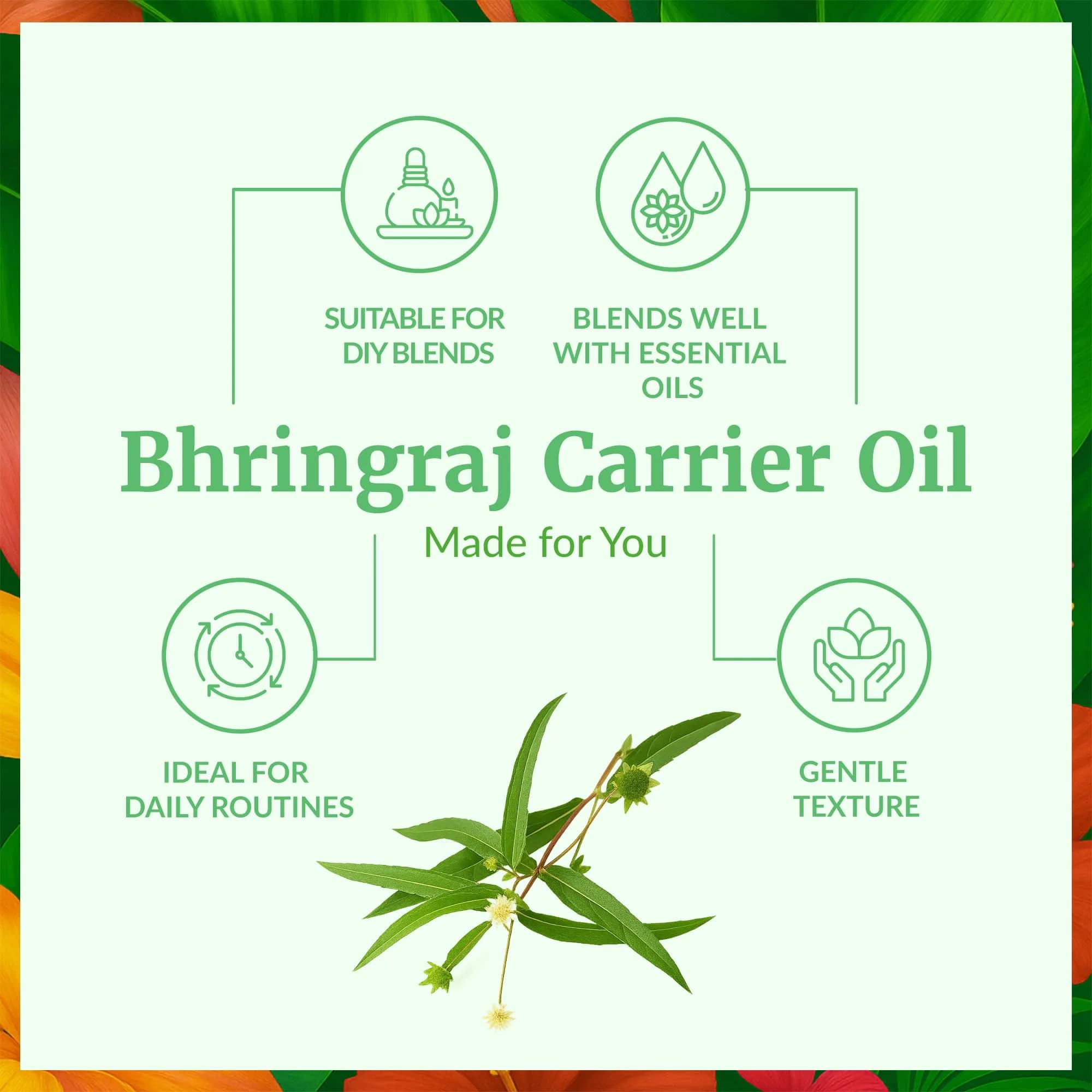 SVA ORGANICS Bhringraj Carrier Oil - Large 16 Fl Oz Bottle | Pure & Natural - view 3