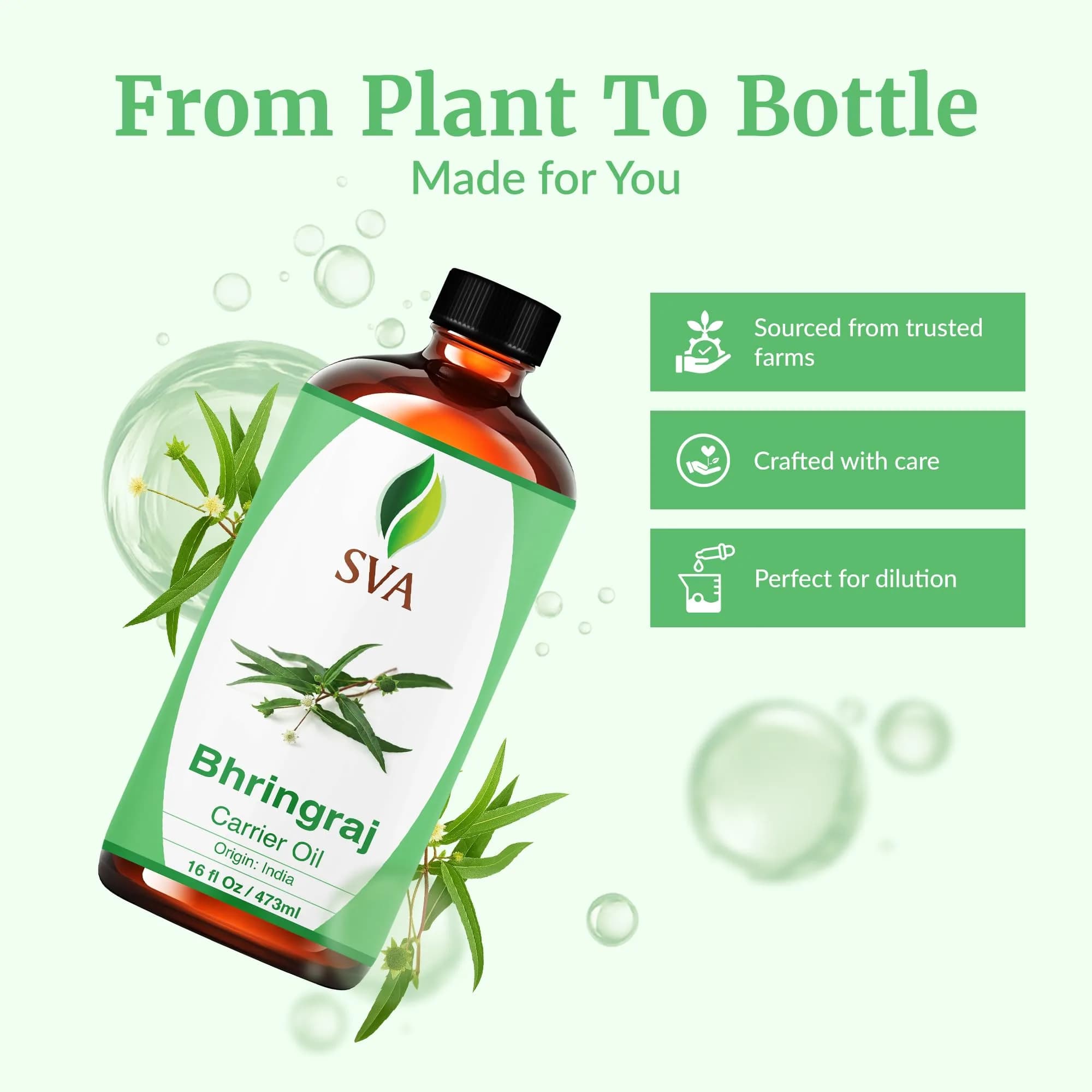 SVA ORGANICS Bhringraj Carrier Oil - Large 16 Fl Oz Bottle | Pure & Natural - view 4
