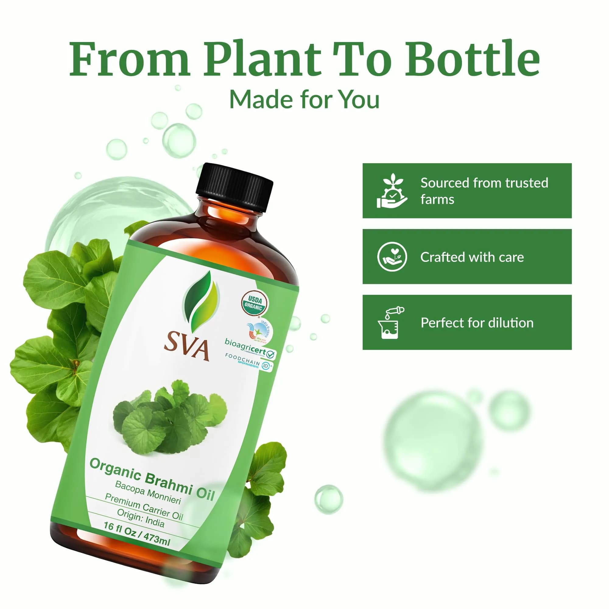 SVA ORGANICS Brahmi Carrier Oil - 16 Fl Oz (473 ml) Large Bottle - view 4