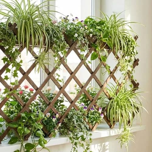Tilinyan & one Expandable Garden Trellis 2 PCS, 229 cm (90") x 94 cm (37") | Rustic Wood Lattice Fence for Climbing Plants thumbnail 7