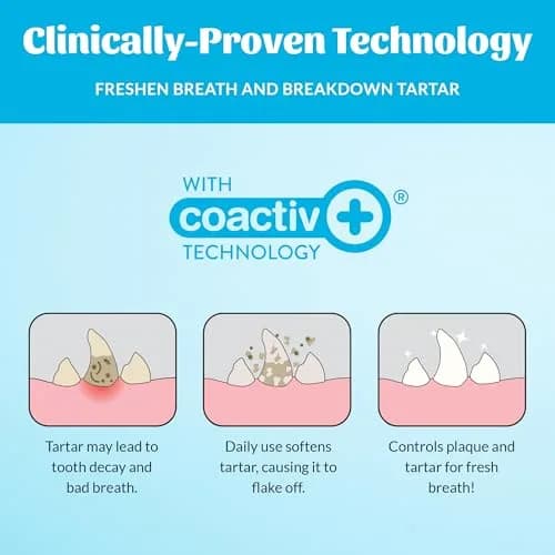 SKOUT'S HONOR Fresher Breath Advanced Dental Drops for Cats & Dogs | No Brushing Needed, 4 oz, 2-Pack thumbnail 3