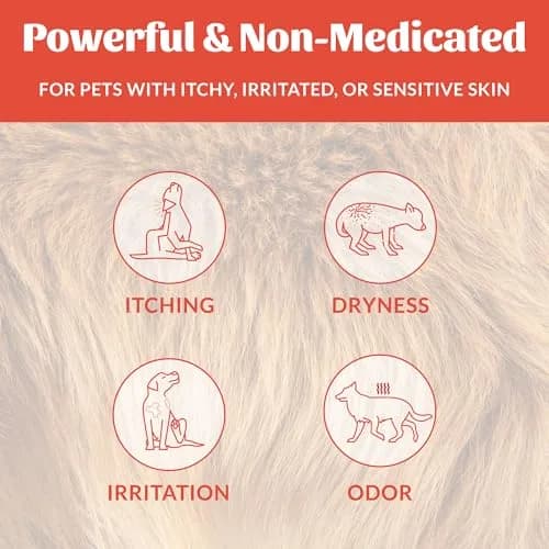 SKOUT'S HONOR Probiotic Itch Relief Shampoo for Dogs, 16 oz, 2-Pack | Supports Healthy Skin Microbiome & Fast Relief thumbnail 3