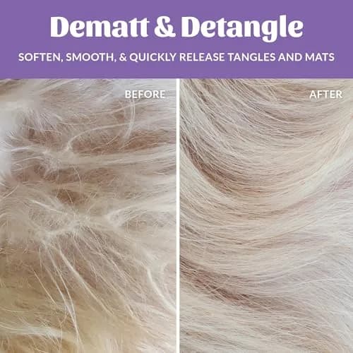 SKOUT'S HONOR Probiotic Dog Detangler Spray - Lavender | Hydrates & Nourishes, Supports Healthy Skin, 8 oz, 2-Pack thumbnail 4