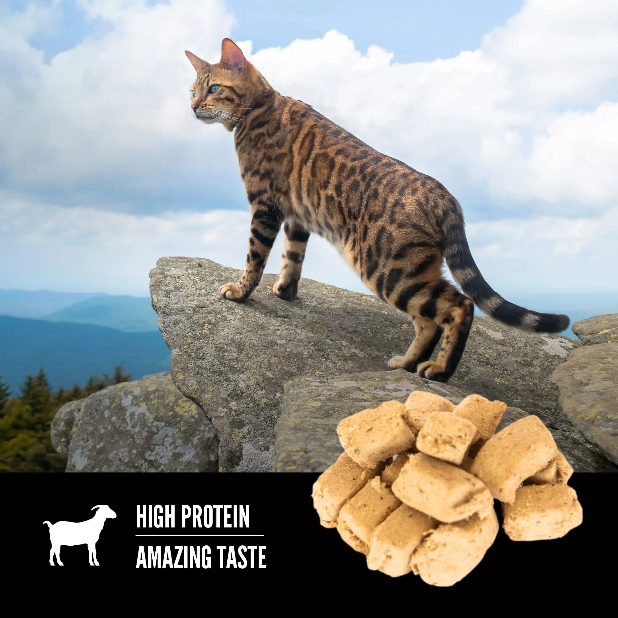 ORIJEN Tundra Freeze Dried Cat Treats 2.5 oz (70.8 g) | WholePrey Ingredients for Cats - view 3