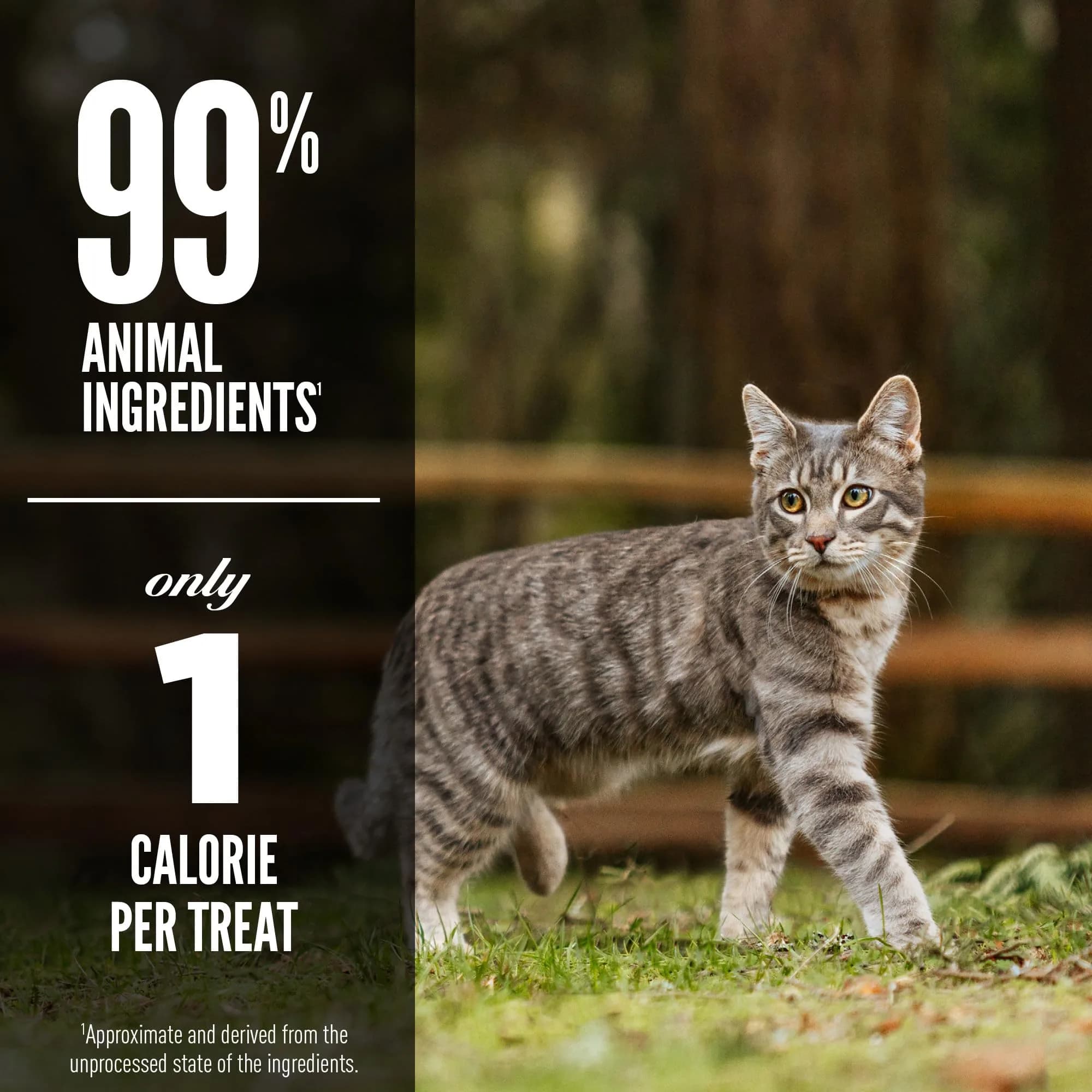 ORIJEN Tundra Freeze Dried Cat Treats 2.5 oz (70.8 g) | WholePrey Ingredients for Cats - view 4