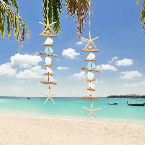 JQAQJU Wooden Driftwood Wall Decor Starfish Seashells Coastal Rustic 2.5cm (1 inch) | Unique Beach Theme for Home thumbnail 3
