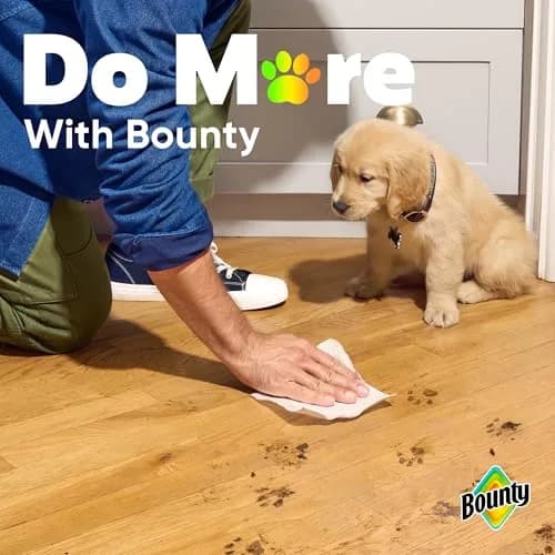 Bounty Select-A-Size Paper Towels, White, 2 Triple Rolls (246 Sheets) | Absorbent & Quicker Picker Upper thumbnail 9