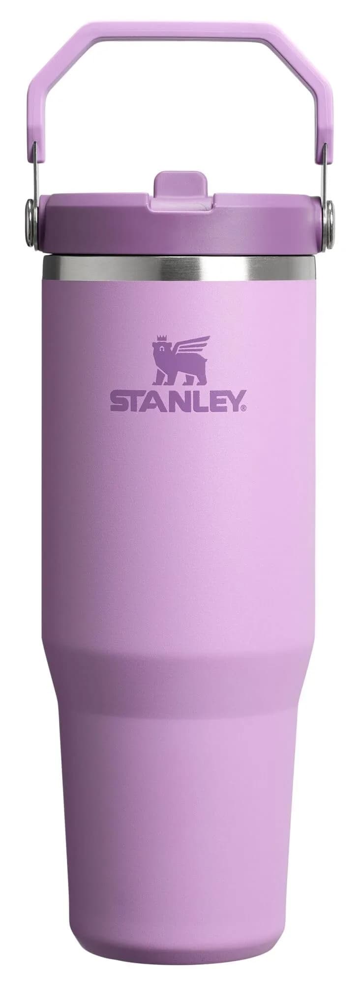 STANLEY IceFlow 2.0 Flip Straw Tumbler 30 oz | Leak-Proof Stainless Steel Hydration