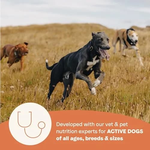 CANIDAE All Life Stages High Protein Dog Food 4 lb | Salmon & Ancient Grains for Active Dogs thumbnail 4