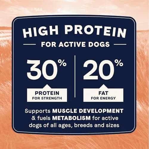 CANIDAE All Life Stages High Protein Dog Food 4 lb | Salmon & Ancient Grains for Active Dogs thumbnail 5