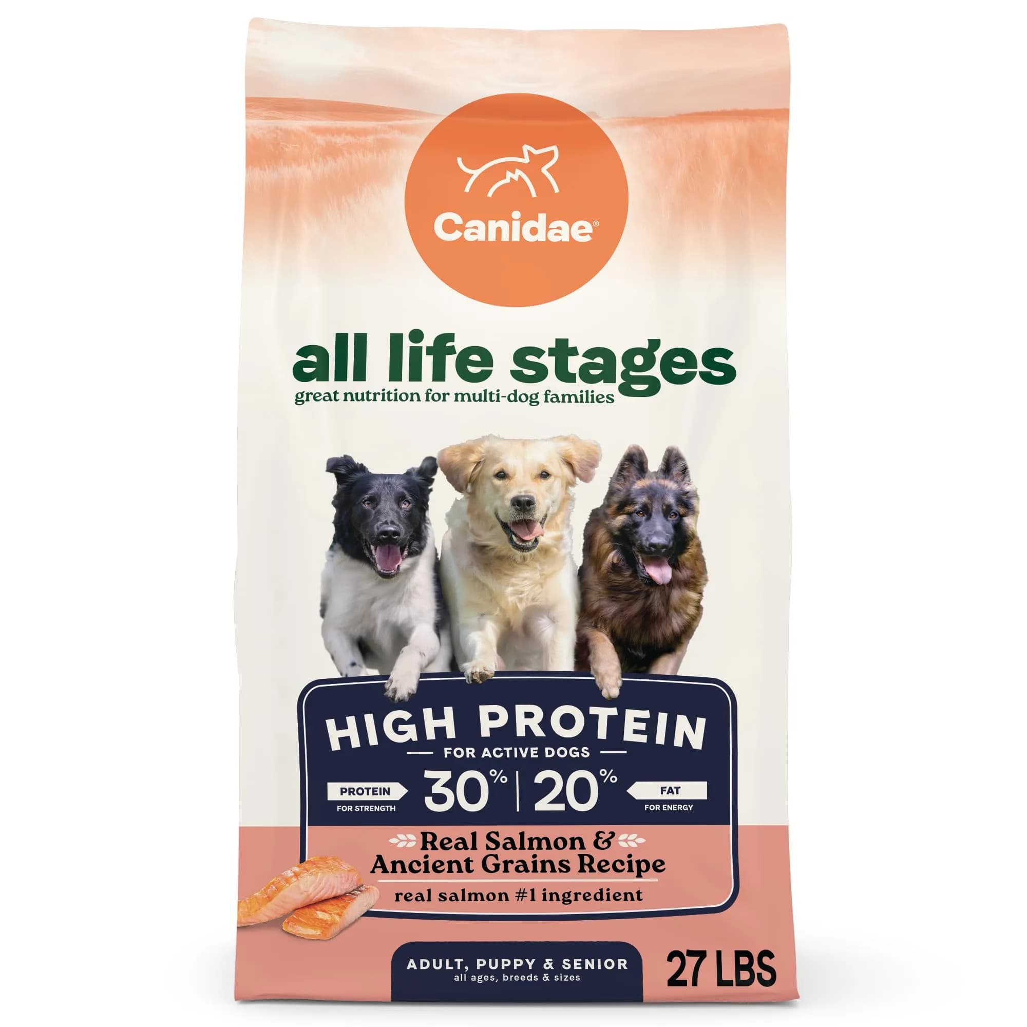 CANIDAE All Life Stages High Protein Salmon & Ancient Grains 27 lb | Complete Nutrition for Active Dogs - main product image