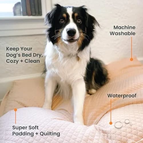 4Knines Quilted Dog Bed Cover XL | Waterproof Heavy-Duty Washable Fog thumbnail 6