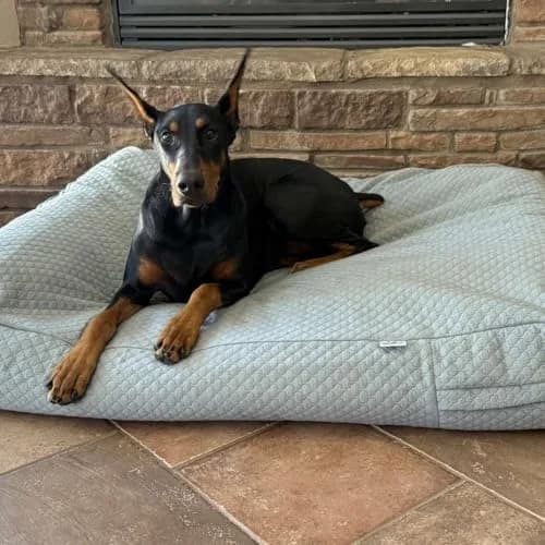 4Knines Quilted Dog Bed Cover XL | Waterproof Heavy-Duty Washable Fog thumbnail 2
