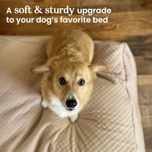 4Knines Quilted Dog Bed Cover XL | Waterproof Heavy-Duty Washable Fog thumbnail 3