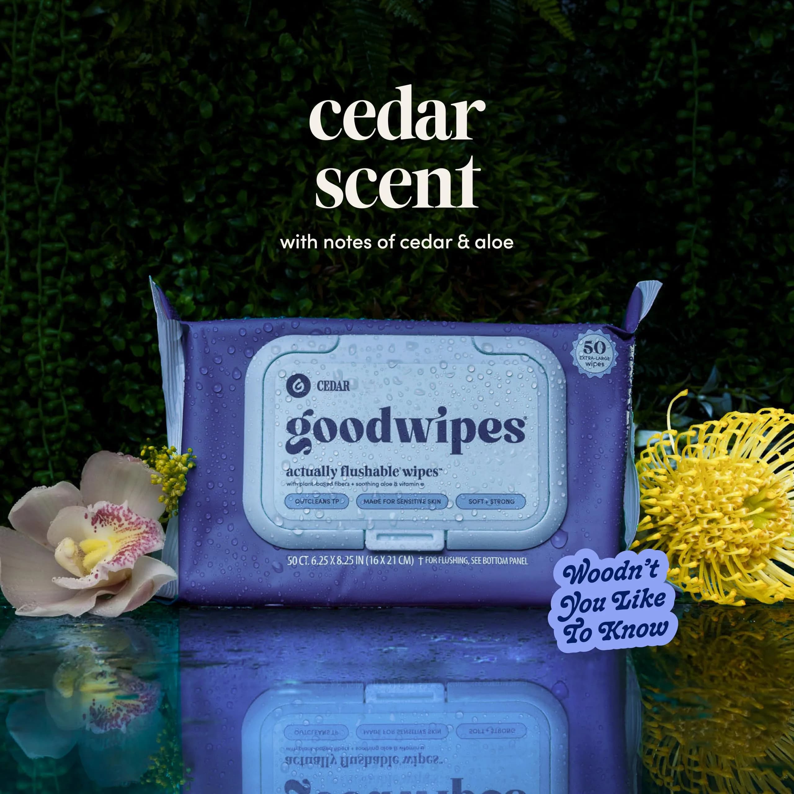 goodwipes Flushable Wet Wipes for Adults, Cedar Scent, pH Balanced & Extra Large - 50 Count (Pack of 8) - view 9