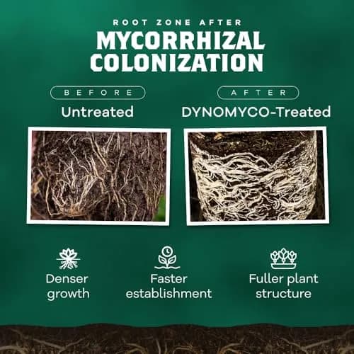 DYNOMYCO Mycorrhizal Fungi Inoculant Grow Kit | All-in-One Bio-Based Root Support (70-120 chars) thumbnail 3