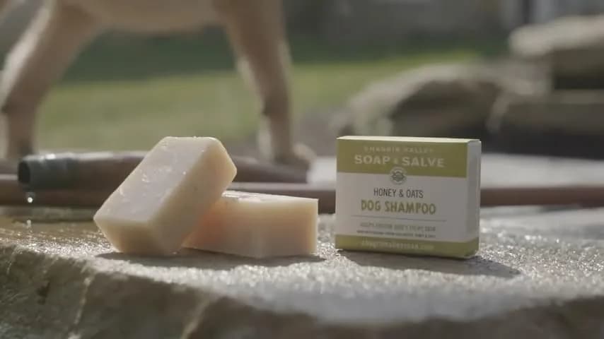 Chagrin Valley Soap & Salve Organic Dog Shampoo & Conditioner 3.8 oz | Puppy Itchy Skin Relief & Coat Nourishment thumbnail 11