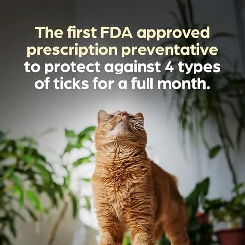 Revolution Plus Topical Solution for Cats 2.8-5.5 lbs | 7-in-1 Parasite Protection thumbnail 5