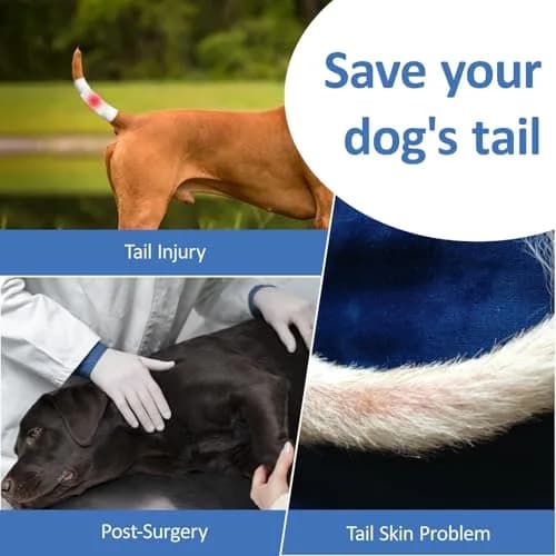 BARKLESS Dog Tail Protector for Medium & Large Dogs | Wound Cover & Recovery Aid thumbnail 6