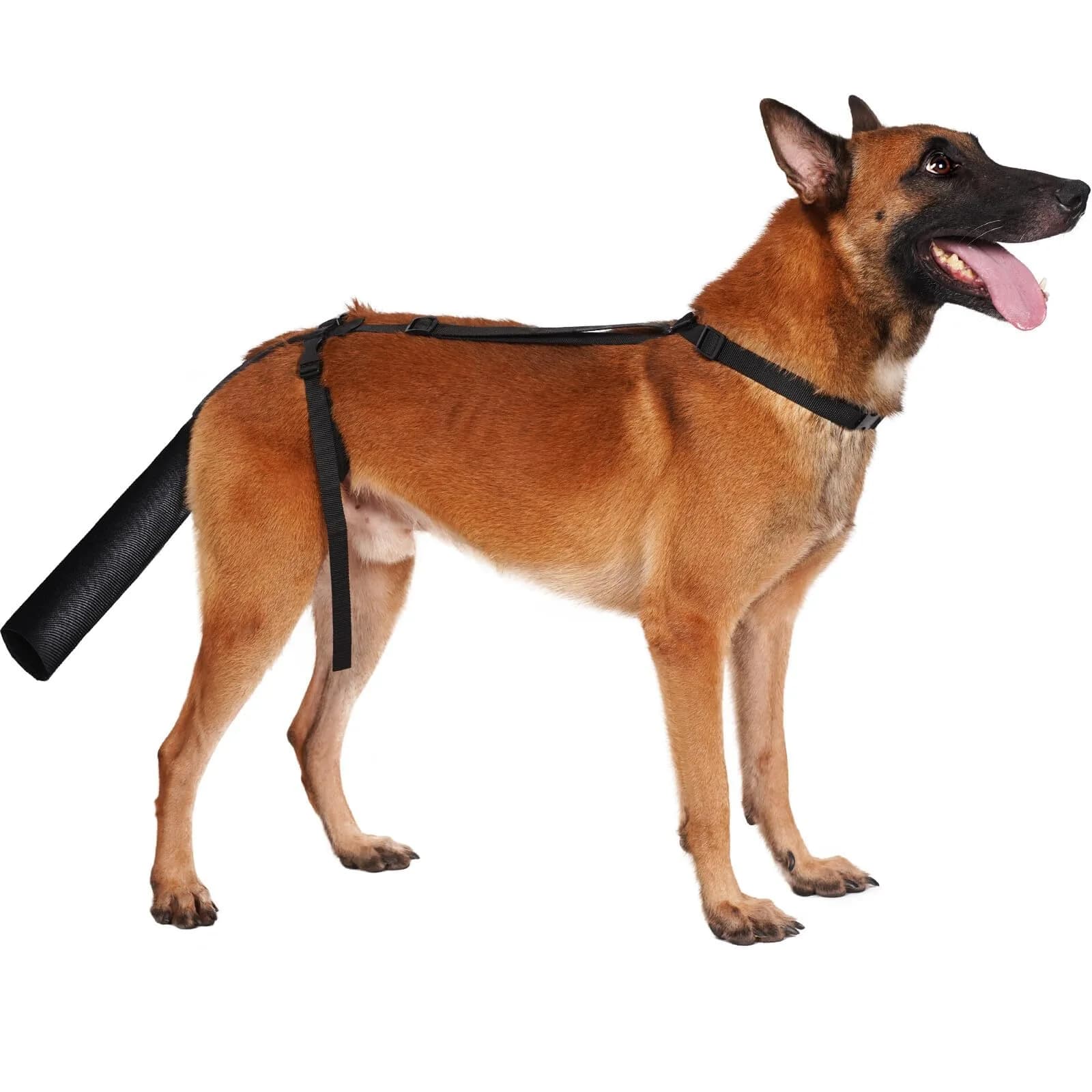BARKLESS Dog Tail Protector for Medium & Large Dogs | Wound Cover & Recovery Aid