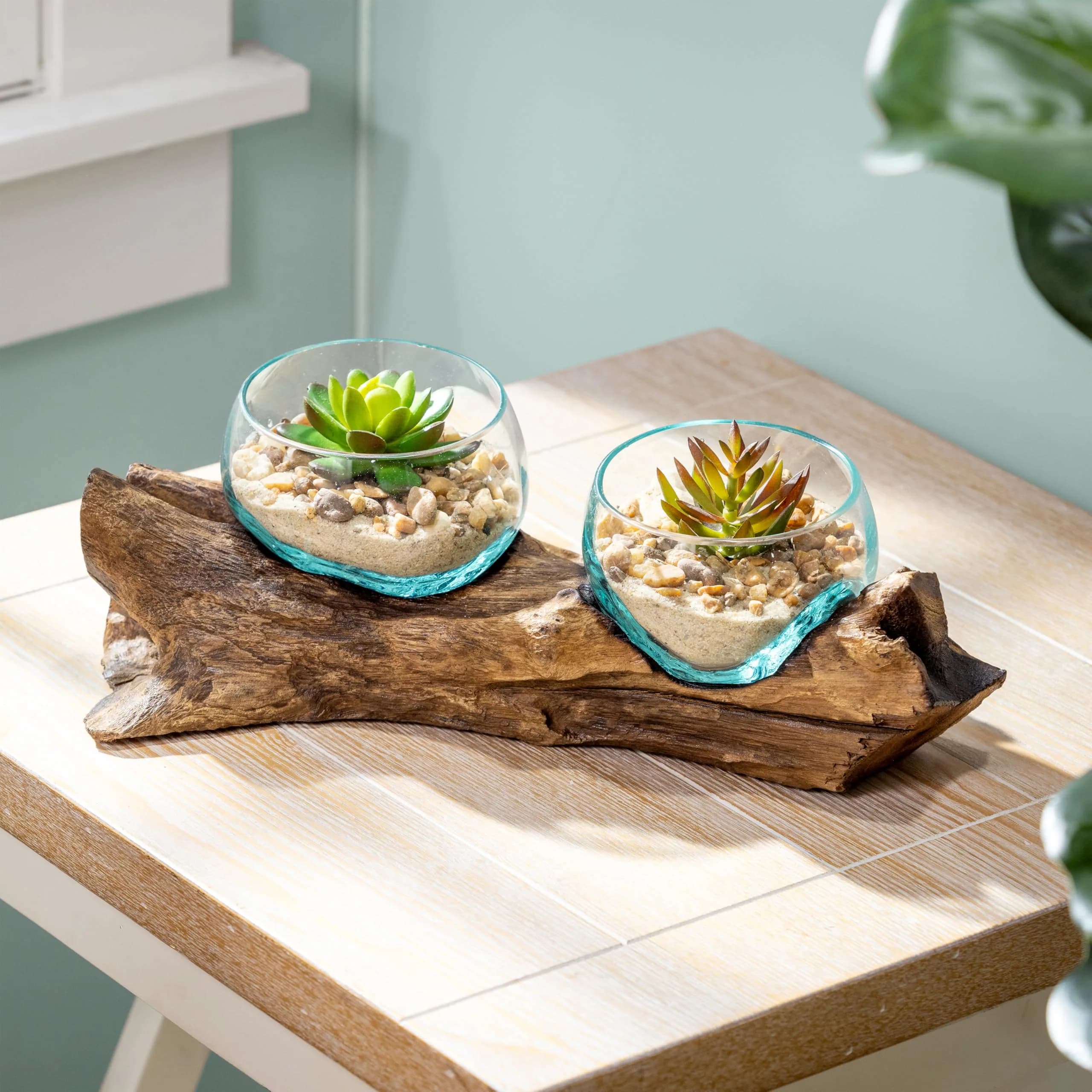 Cape Craftsmen Set of 2 Terrariums | Hand-Blown Bubble Glass & Driftwood Indoor Planters — (With Stand)