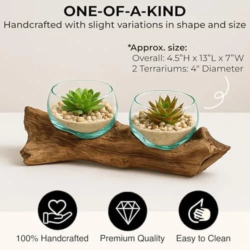 Cape Craftsmen Set of 2 Terrariums | Hand-Blown Bubble Glass & Driftwood Indoor Planters thumbnail 3