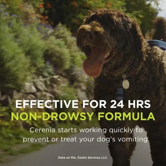 Cerenia (maropitant citrate) for Dogs 160 mg | Prevents Vomiting & Motion Sickness thumbnail 9