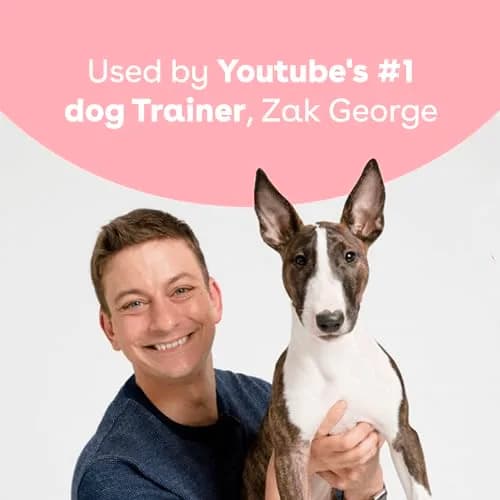 Pupford Freeze Dried Training Treats for Dogs & Puppies (Duck, 2.75 oz) | Healthy, High Protein, All-Natural thumbnail 7