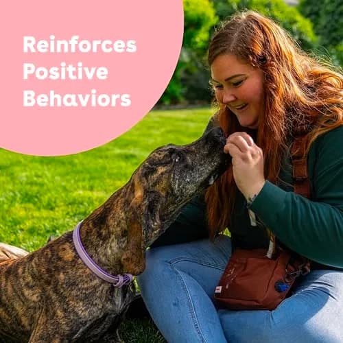 Pupford Freeze Dried Training Treats for Dogs & Puppies (Duck, 2.75 oz) | Healthy, High Protein, All-Natural thumbnail 3