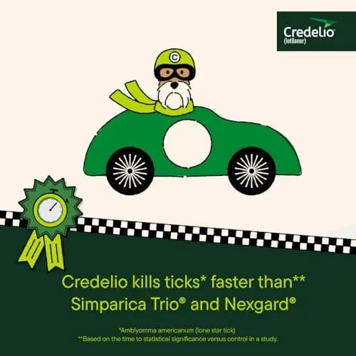 Credelio Tick & Flea Treatment for Dogs 50.1-100 lbs. | Fast-Acting Chewable Infestation Prevention thumbnail 4