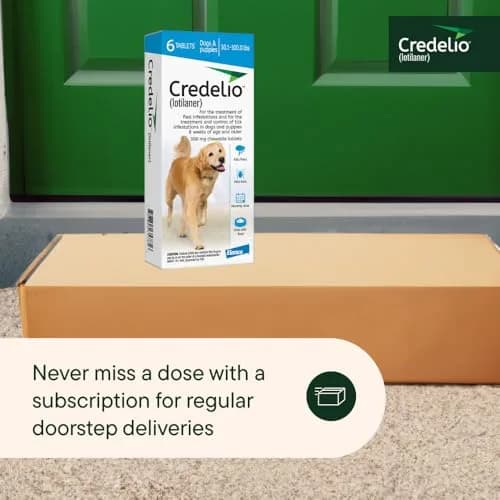 Credelio Tick & Flea Treatment for Dogs 50.1-100 lbs. | Fast-Acting Chewable Infestation Prevention thumbnail 8