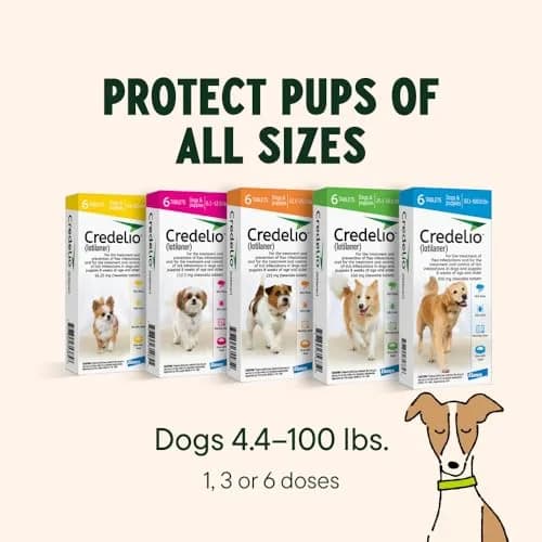 Credelio Tick & Flea Treatment for Dogs 50.1-100 lbs. | Fast-Acting Chewable Infestation Prevention thumbnail 9