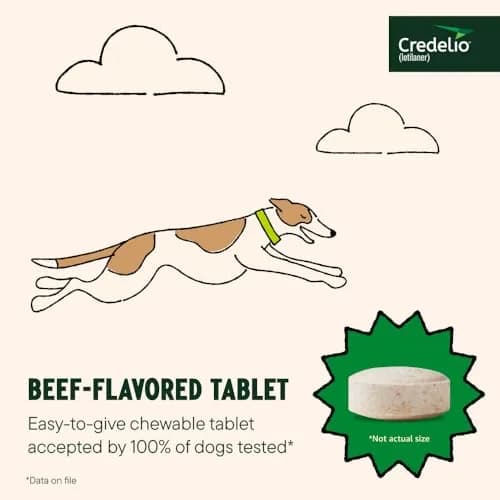 Credelio Tick & Flea Treatment for Dogs 50.1-100 lbs. | Fast-Acting Chewable for Dogs thumbnail 5