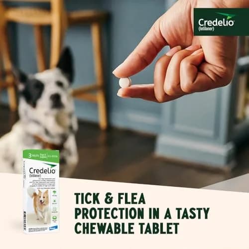 Credelio Chewable for Dogs 25.1-50 lbs | Fast-Acting Tick & Flea Protection thumbnail 7